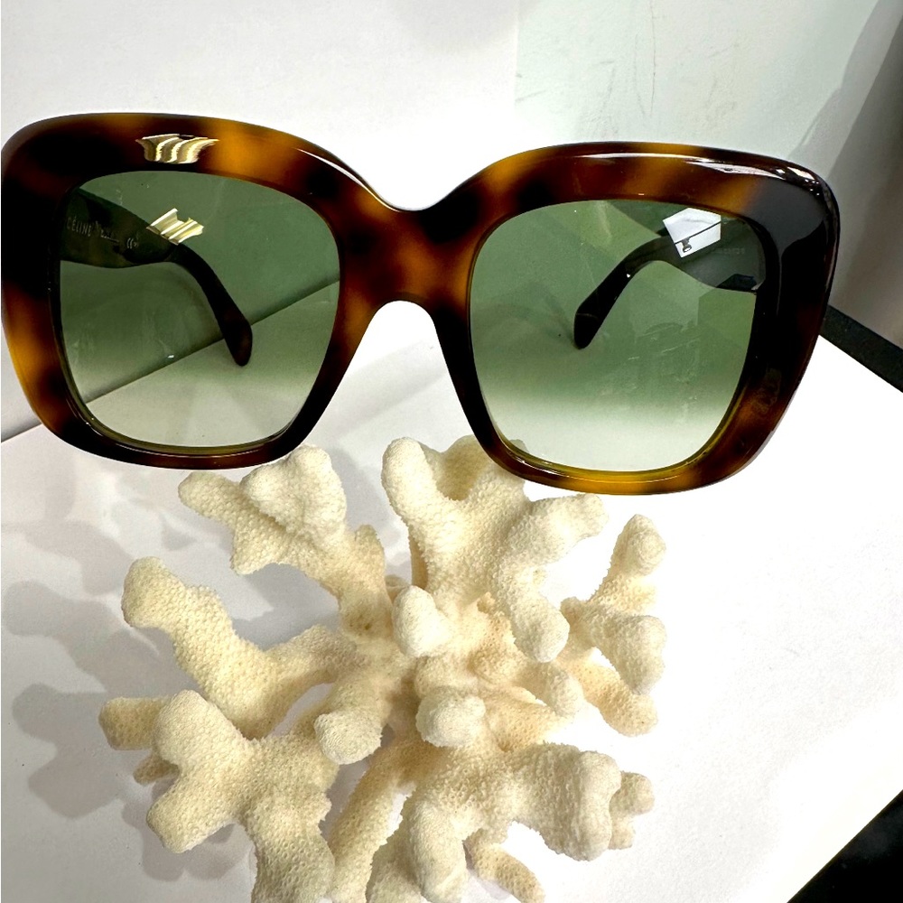 Celine sunglasses with cover